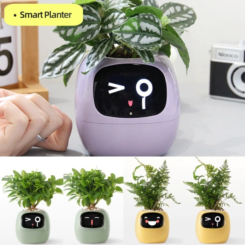 Smart Planter Endless with 49 Rich Expressions & 7 Smart Sensors.