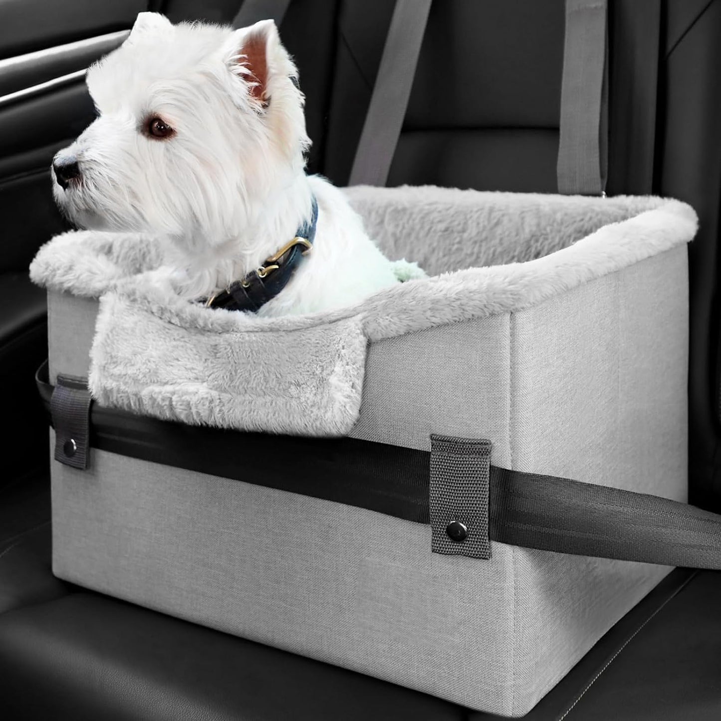 Portable Small Dog Car Seat